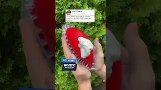 Анекдот про Психов и команду 