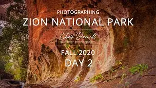 Photographing Zion National Park - Fall 2020 (Day 2)