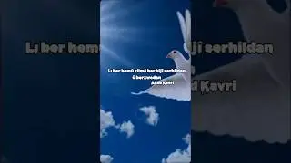 Kürtçe Ağır sözler Azad kavri helbest Kürtçe sözler Helbesten kurdi Gotinen kurdi Kurdish