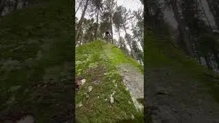 Massive Natural Rock Slab MTB Crash🌲😳