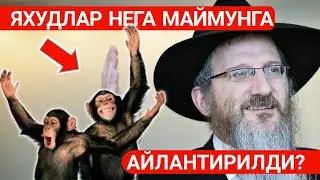Яҳудийлар нега тўнғиз ва маймунга айланиб қолган? Шайх Абдували қори раҳимаҳуллоҳ | Yahudiylar