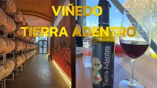 QUE HACER EN ZACATECAS #3 Viñedo Tierra Adentro