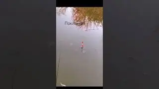 Карась! Клюёт!