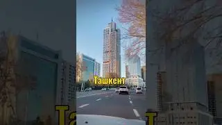 ТАШКЕНТ | УЗБЕКИСТАН🇺🇿 