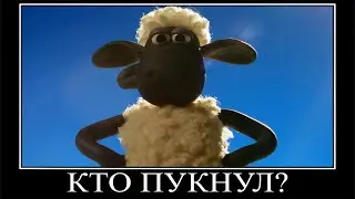 Муд Барашек Шон демотиватор (Опасные посылки)