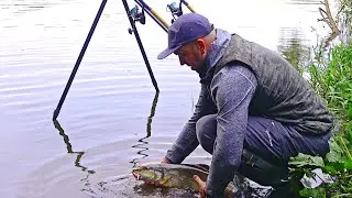 A quickie! Barbel fishing session success! All you need to catch more fish