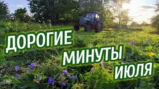 Ценный груз доставлен !