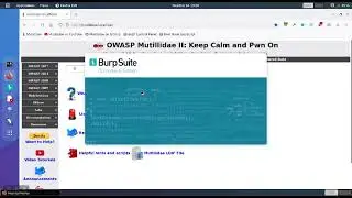 Burp Suite 2: How to Save Project Settings