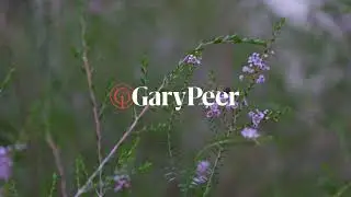 28 Fosbery Avenue, Caulfield North - Presented by Phillip Kingston