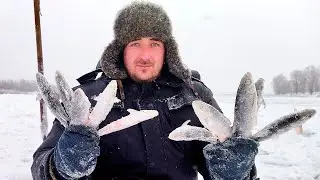 НА НИХ ТОЛЬКО 