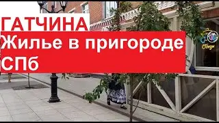 #Гатчина - жилье в пригороде Петербурга. 1 час от Питера, чисто, уютно, красиво | август 2022