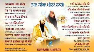 Tera Kiya Mitha Laage (Jukebox) New Shabad Gurbani Kirtan 2023 Nonstop Gurbani Nonstop Shabad Kirtan