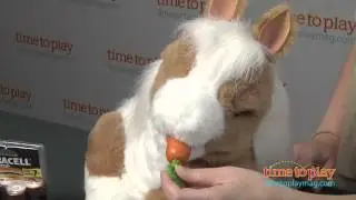 FurReal Friends Baby Butterscotch, My Magical Show Pony from Hasbro