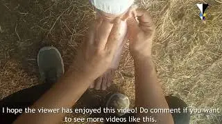 Secrets revealed on how to wrap up an injured ankle!