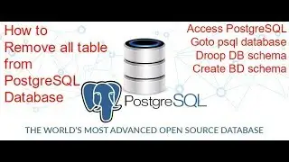 Drop all tables from PostgreSQL Database