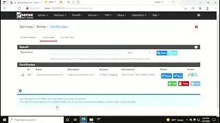 pfSense ACME wildcard SSL cert using DNS Manual validation part-1