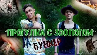 Прогулки с зоологом. Черногория. Обитатели заброшенного бункера. Летучие мыши. Пауки. Кузнечики.