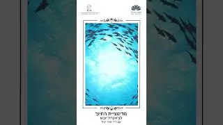 צ'אקרת יובש מדיטציית החיוך