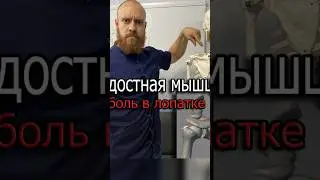 Надостная мышца. Боль в лопатке