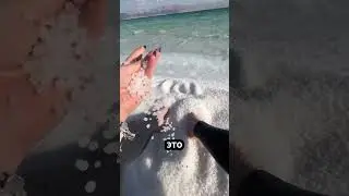 Можно ли утонуть в Мёртвом море?