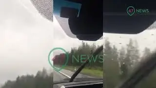 47news: видео с места убийства Бадри Шенгелия