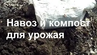 Как делать компост.  Удобрение под ногами