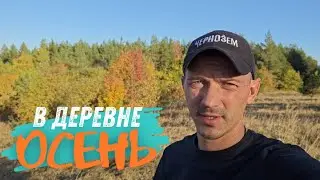 Убираем индюков I Кормим пчёл I Осень в деревне