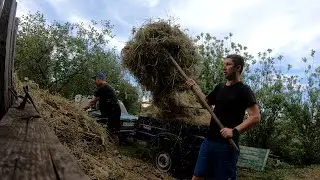 На машине перевозим сухое сено в прицепе  🔴 Заготовка и хранение сена в деревне