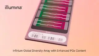 Infinium Global Diversity Array with Enhanced PGx Content