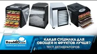 Сушилка для овощей и фруктов, какая лучше? | Обзор дегидраторов