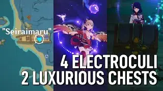 “Seiraimaru” Guide, 2 Luxurious Chests, 4 Electroculi, 2 Achievements [Genshin Impact 2.1]