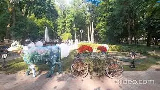 Мимо кафе РУССКИЙ ДВОР не пройти