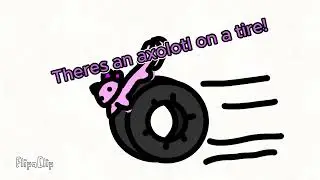 Axolotl on a tire