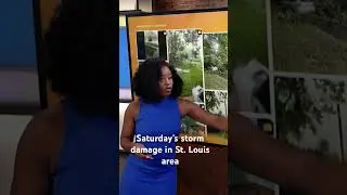 PHOTOS: Saturday’s storm damage in St. Louis area 