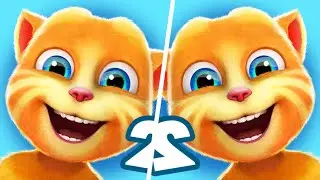 Talking Ginger