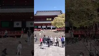 💥Best One day trip from Tokyo :Nikki 