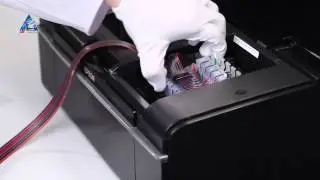Установка СНПЧ на принтер Epson Stylus Photo P50