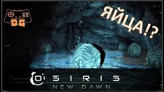 Osiris New Dawn ◈ Зеленый и красный ключ! ◈ Переезд базы ◈ 