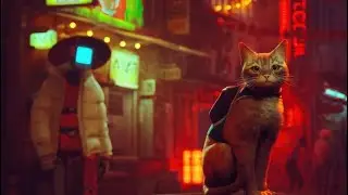 ABANDORAM O GATINHO (stray pt.1)