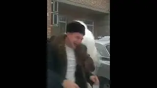 Белый мелвель не хочет лезть в машину