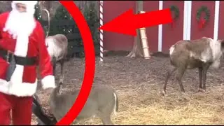 60 times when SANTA CLAUS was caught on camera (60 Santa Claus sightings caught on camera)