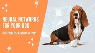 Neural Networks For Your Dog - 3.6 Stochastic Gradient Descent