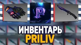 СКОЛЬКО СТОИТ ИНВЕНТАРЬ ЮТУБЕРА PRILIV В CS:GO