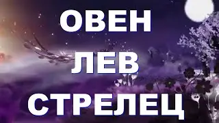 ОВЕН ЛЕВ СТРЕЛЕЦ