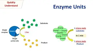 Enzyme units