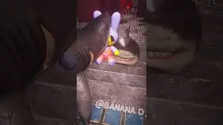 OHIO Baby Shark VS Baby Shark Learning English in Bunker