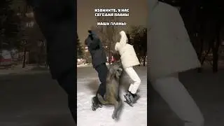 Ихвильнихтим с 
