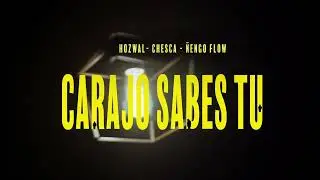 Chesca - Carajo Sabes Tú (Ñengo Flow & Hozwal) - [Visualizer]