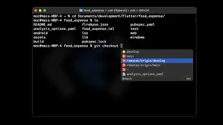 Make your terminal auto suggest the command lines