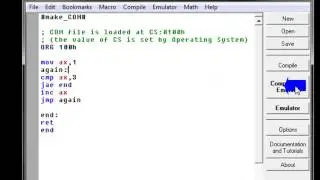 Conditional and unconditional instructions in assembly language (8086 emulator)